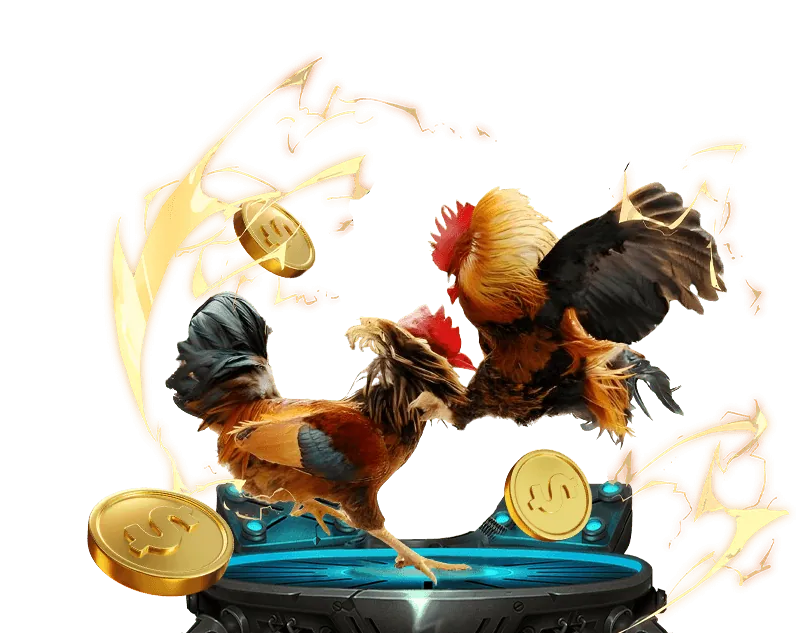 Cam kết và đảm bảo với người dùng